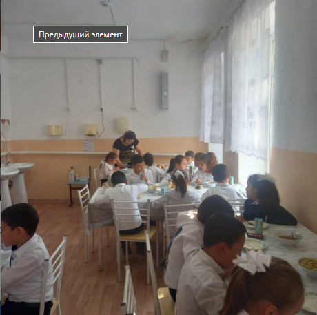 Соловая Соловая