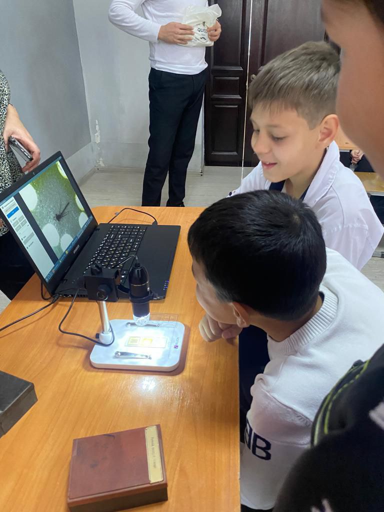 Развиваем аналитическое мышление